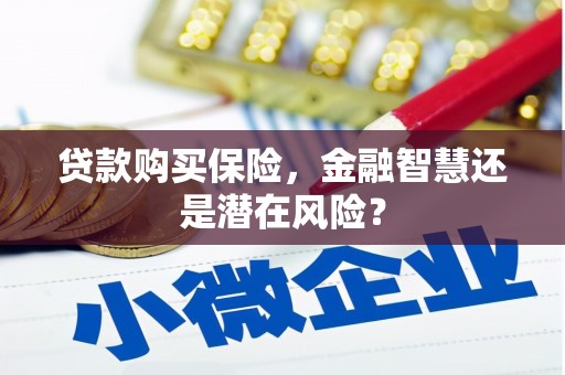 红塔贷款购买保险，金融智慧还是潜在风险？