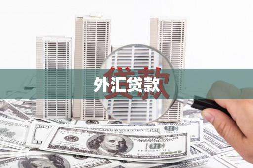 红塔外汇贷款