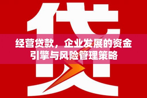 红塔经营贷款，企业发展的资金引擎与风险管理策略