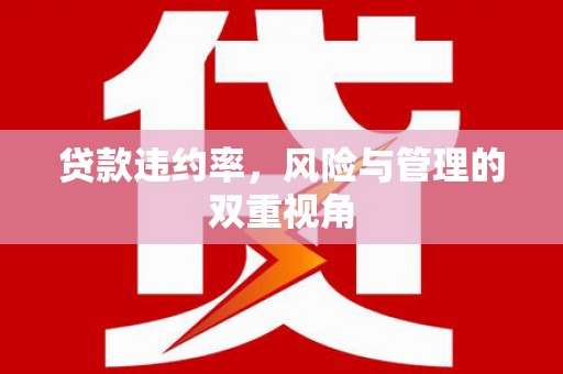 红塔贷款违约率，风险与管理的双重视角