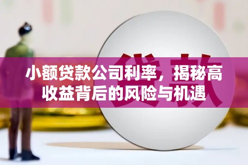 红塔小额贷款公司利率，揭秘高收益背后的风险与机遇