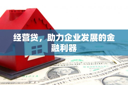 红塔经营贷，助力企业发展的金融利器