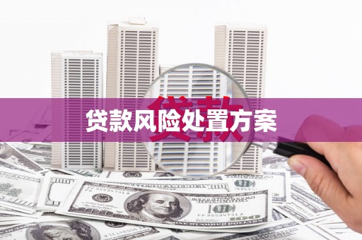 红塔贷款风险处置方案