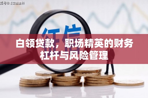 红塔白领贷款，职场精英的财务杠杆与风险管理
