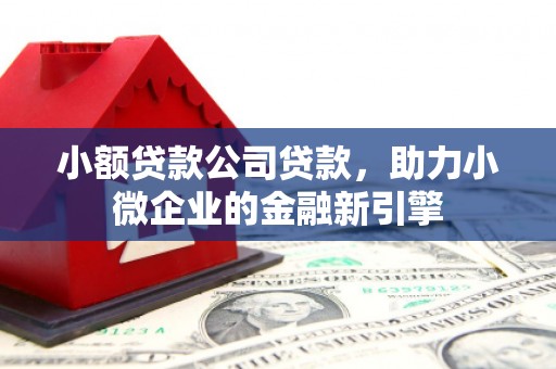 红塔小额贷款公司贷款，助力小微企业的金融新引擎