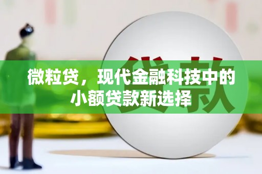红塔微粒贷，现代金融科技中的小额贷款新选择