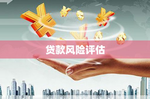 红塔贷款风险评估