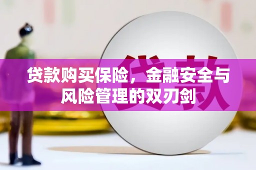 红塔贷款购买保险，金融安全与风险管理的双刃剑