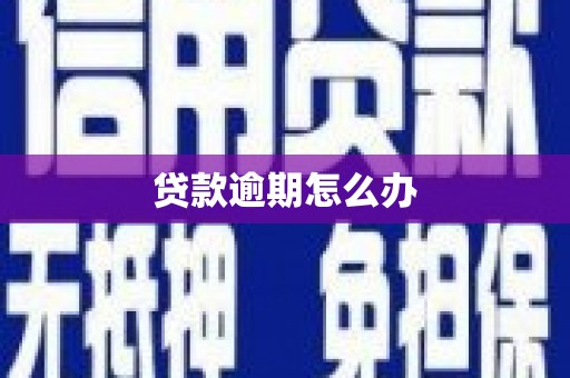 红塔贷款逾期怎么办