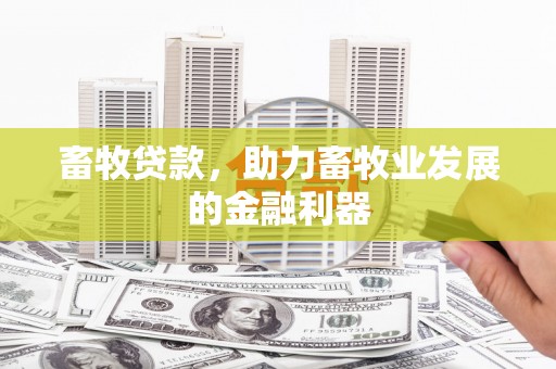 红塔畜牧贷款，助力畜牧业发展的金融利器