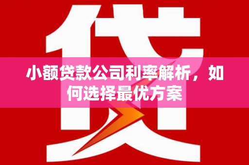 红塔小额贷款公司利率解析，如何选择最优方案