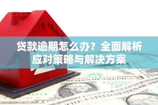 红塔贷款逾期怎么办？全面解析应对策略与解决方案