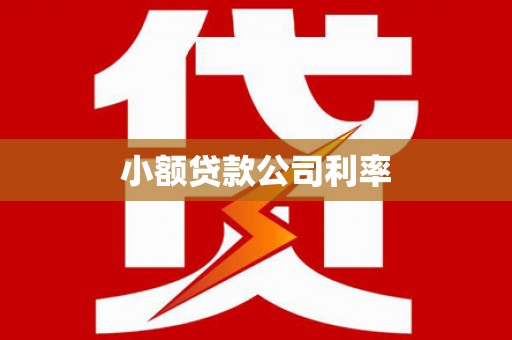 红塔小额贷款公司利率