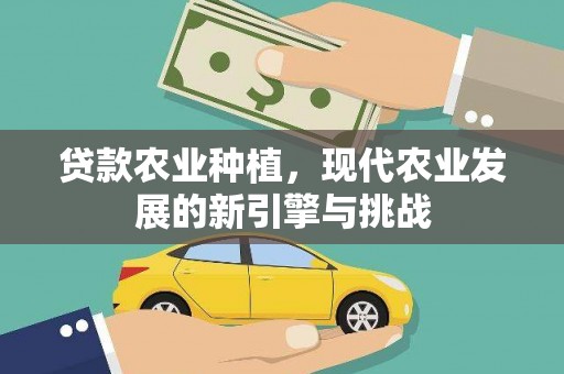 红塔贷款农业种植，现代农业发展的新引擎与挑战