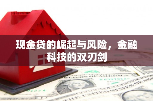 红塔现金贷的崛起与风险，金融科技的双刃剑