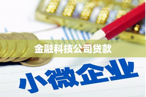 红塔金融科技公司贷款