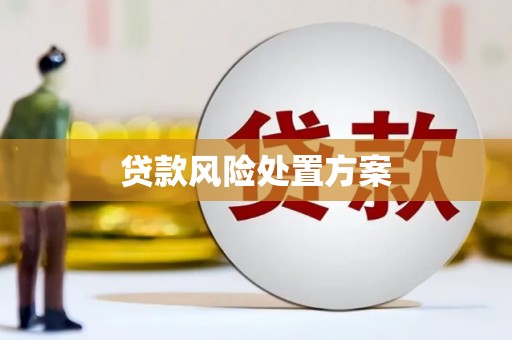 红塔贷款风险处置方案