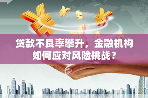 红塔贷款不良率攀升，金融机构如何应对风险挑战？