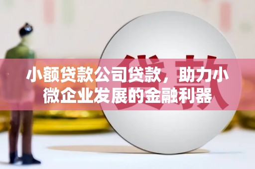 红塔小额贷款公司贷款，助力小微企业发展的金融利器