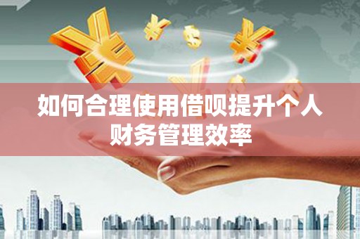 红塔如何合理使用借呗提升个人财务管理效率