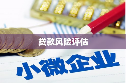 红塔贷款风险评估