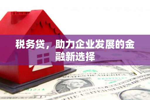 红塔税务贷，助力企业发展的金融新选择