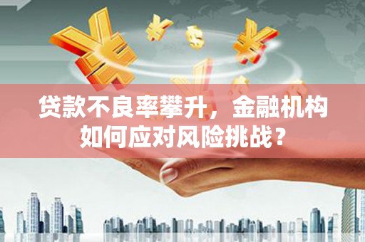 红塔贷款不良率攀升，金融机构如何应对风险挑战？