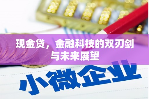 红塔现金贷，金融科技的双刃剑与未来展望