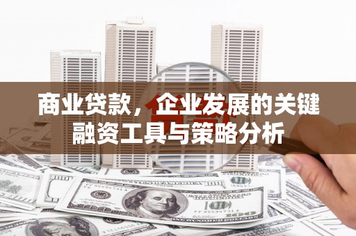 红塔商业贷款，企业发展的关键融资工具与策略分析