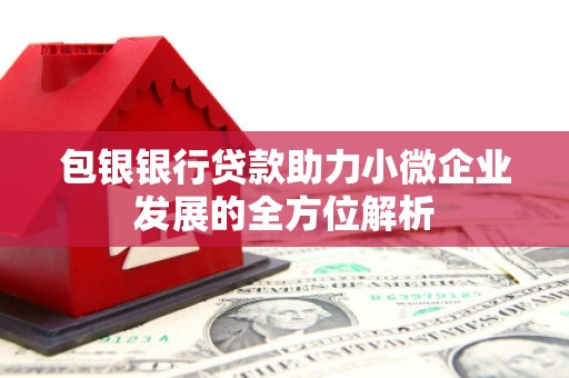 红塔包银银行贷款助力小微企业发展的全方位解析