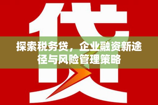 红塔探索税务贷，企业融资新途径与风险管理策略
