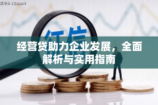 红塔经营贷助力企业发展，全面解析与实用指南