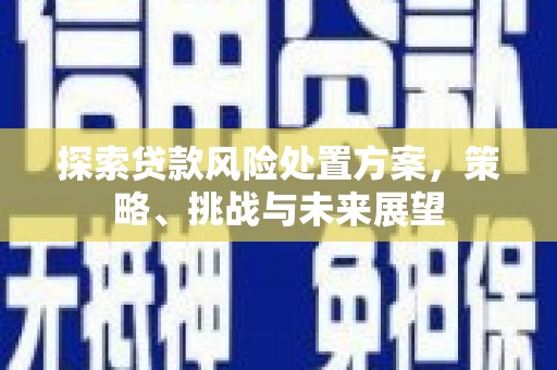 红塔探索贷款风险处置方案，策略、挑战与未来展望
