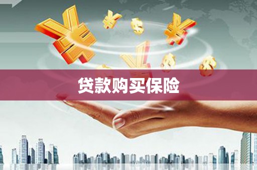 红塔贷款购买保险