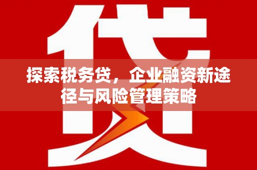 红塔探索税务贷，企业融资新途径与风险管理策略