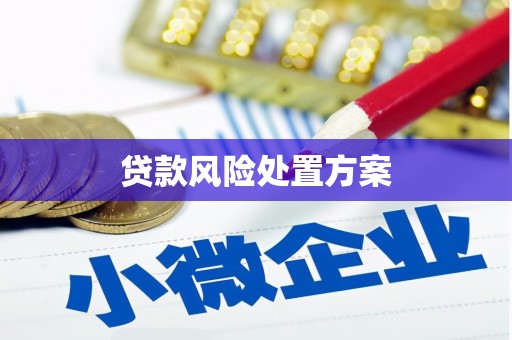 红塔贷款风险处置方案