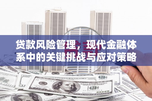 红塔贷款风险管理，现代金融体系中的关键挑战与应对策略