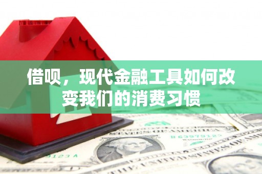 红塔借呗，现代金融工具如何改变我们的消费习惯