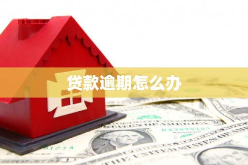 红塔贷款逾期怎么办