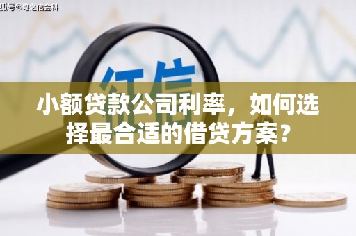 红塔小额贷款公司利率，如何选择最合适的借贷方案？
