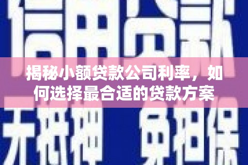 红塔揭秘小额贷款公司利率，如何选择最合适的贷款方案