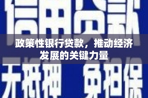 红塔政策性银行贷款，推动经济发展的关键力量