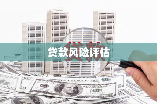 红塔贷款风险评估