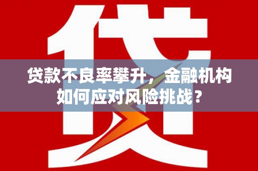 红塔贷款不良率攀升，金融机构如何应对风险挑战？