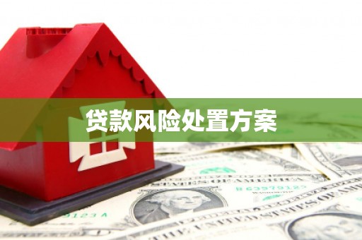 红塔贷款风险处置方案