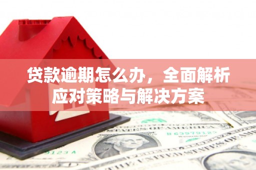 红塔贷款逾期怎么办，全面解析应对策略与解决方案