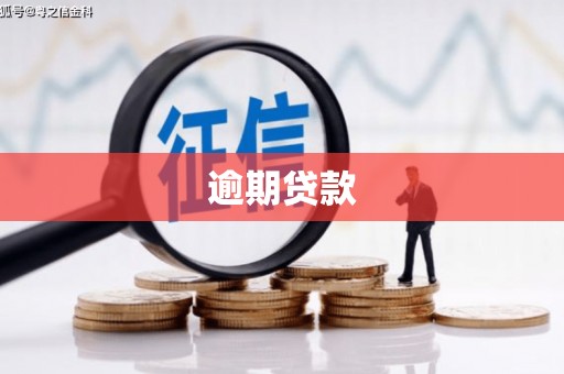 红塔逾期贷款