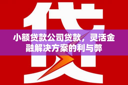 红塔小额贷款公司贷款，灵活金融解决方案的利与弊